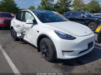  Salvage Tesla Model Y