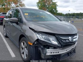  Salvage Honda Odyssey