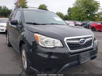  Salvage Subaru Forester