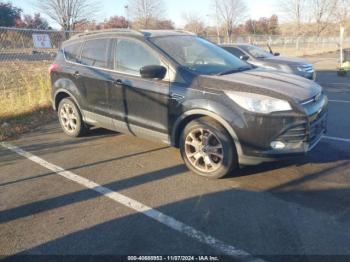  Salvage Ford Escape