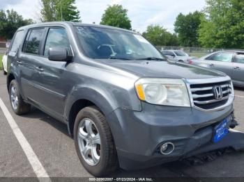  Salvage Honda Pilot