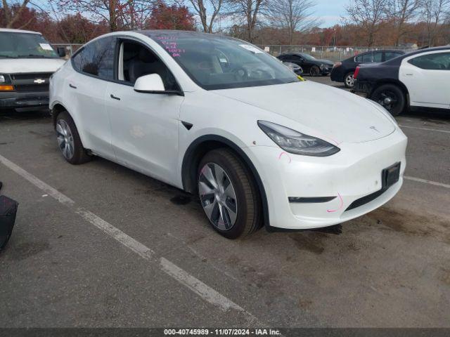  Salvage Tesla Model Y