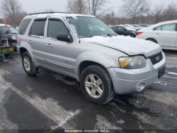  Salvage Ford Escape