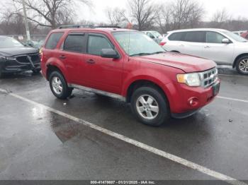  Salvage Ford Escape