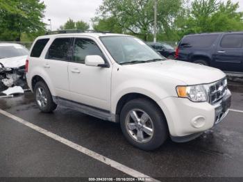  Salvage Ford Escape