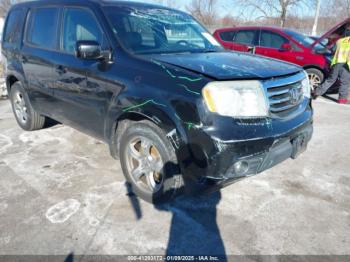  Salvage Honda Pilot