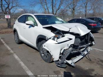  Salvage Lexus NX