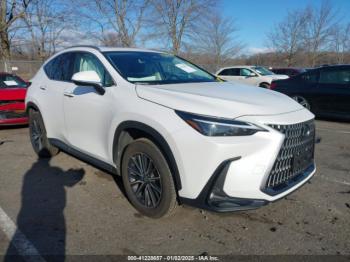  Salvage Lexus NX