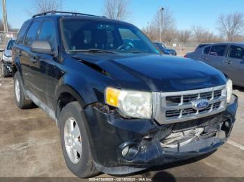  Salvage Ford Escape