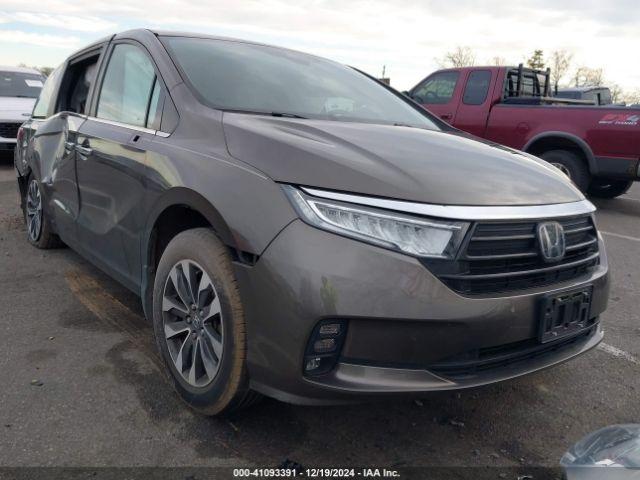  Salvage Honda Odyssey