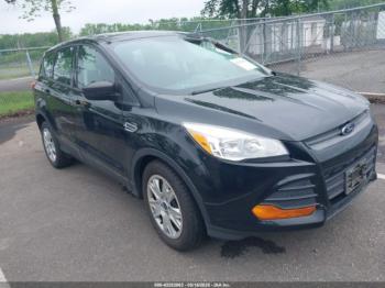  Salvage Ford Escape