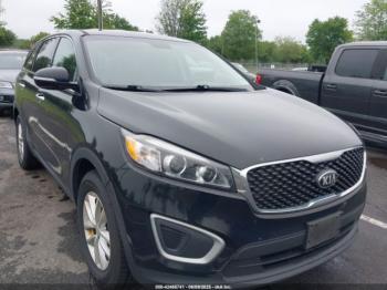  Salvage Kia Sorento