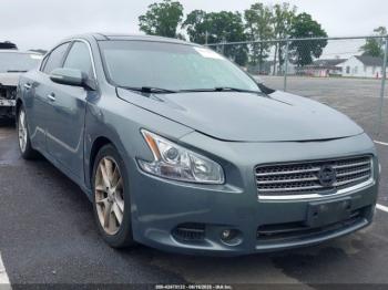  Salvage Nissan Maxima