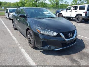  Salvage Nissan Maxima