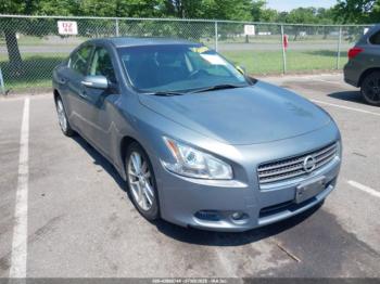  Salvage Nissan Maxima