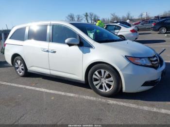  Salvage Honda Odyssey