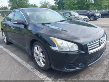  Salvage Nissan Maxima