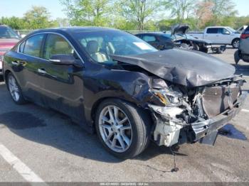  Salvage Nissan Maxima
