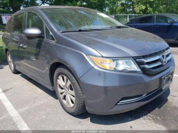  Salvage Honda Odyssey