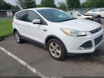  Salvage Ford Escape