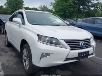  Salvage Lexus RX
