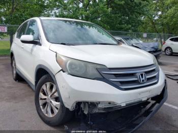  Salvage Honda CR-V