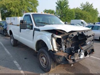 Salvage Ford F-250