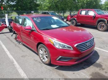  Salvage Hyundai SONATA