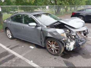  Salvage Nissan Maxima