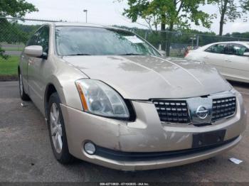  Salvage Nissan Maxima