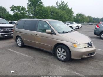  Salvage Honda Odyssey