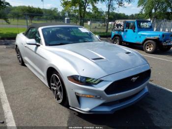  Salvage Ford Mustang