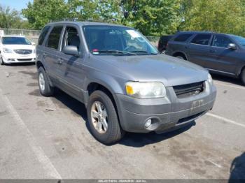  Salvage Ford Escape