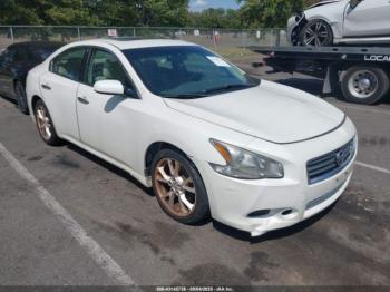  Salvage Nissan Maxima