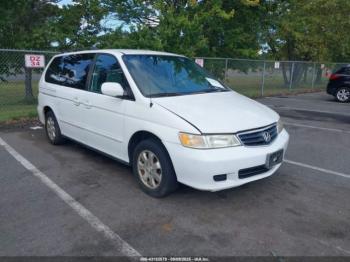  Salvage Honda Odyssey