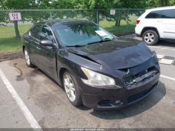  Salvage Nissan Maxima