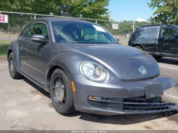  Salvage Volkswagen Beetle