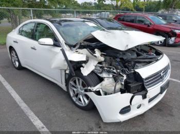  Salvage Nissan Maxima