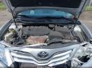 Toyota Camry Xle Image 6