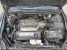 Honda Accord 3.0 Ex Image 6