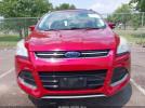 Ford Escape Titanium Image 9