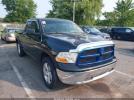 Dodge Ram 1500 Image 1