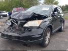 Honda CR-V Ex-l Image 2