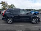Honda CR-V Ex-l Image 9