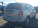 Honda CR-V Se Image 6