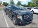 Ford F-150 Fx2 Image 1