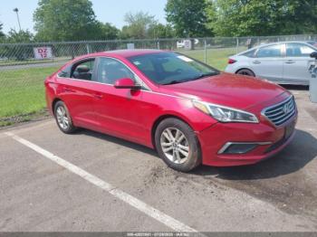  Salvage Hyundai SONATA