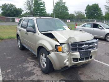  Salvage Ford Escape