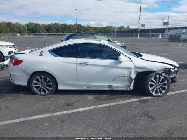 Honda Accord Ex-l V-6 Image 13