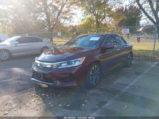 Honda Accord Ex-l Image 2